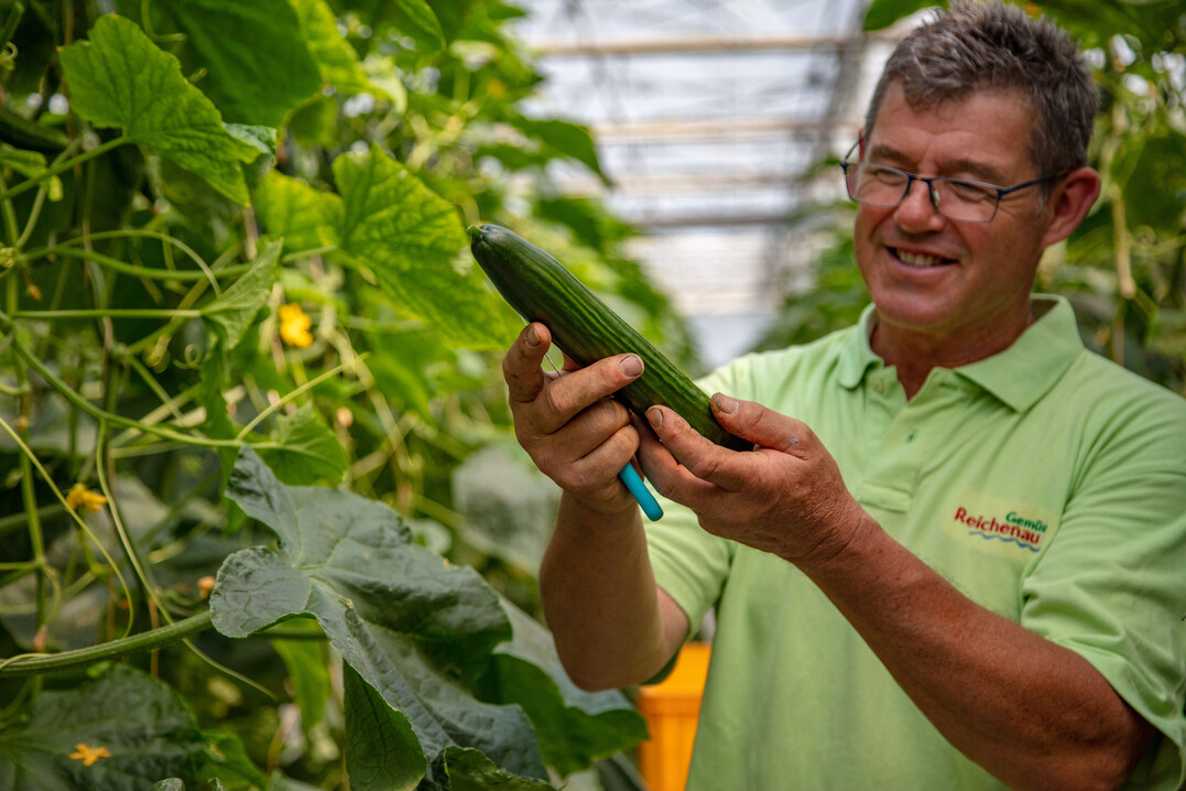 Das vergangene Jahr sorgte f�r die Reichenauer Gem�seg�rtner mit dem Schwerpunkt �Unterglas� f�r eine nie dagewesene Situation.