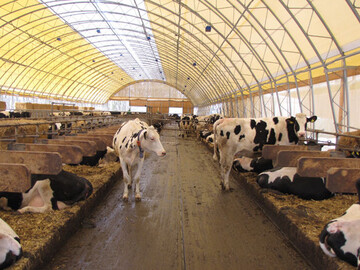 Der Erfolg der Milchproduktion h�ngt immer mehr auch von den Rechenk�nsten des Betriebsleiters ab. Nur wer seine Kosten kennt und optimiert, kann Krisenjahre wie 2009/10 �berstehen.