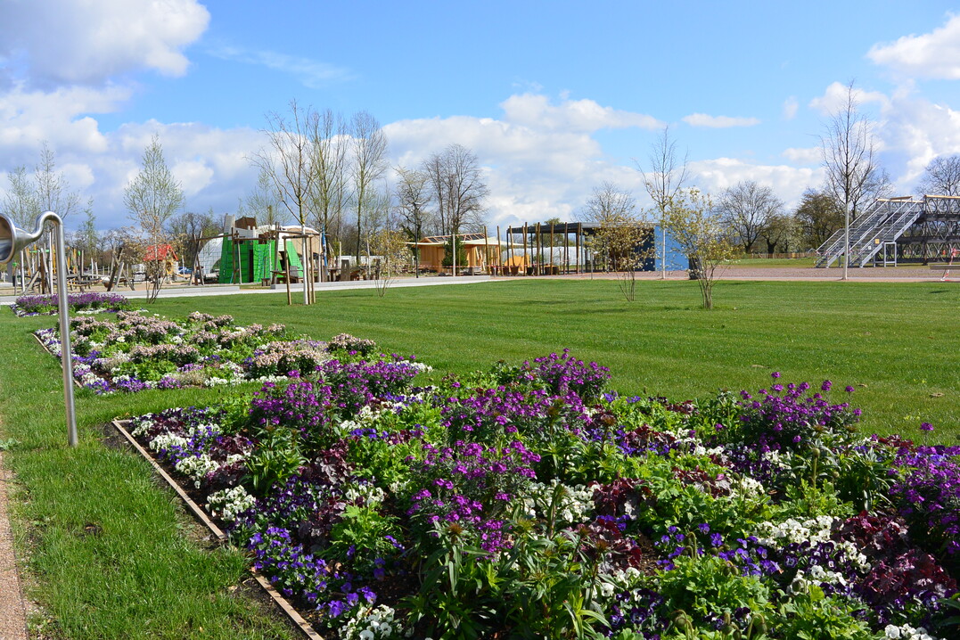Rheinterassen der Landesgartenschau in Neuenburg am Rhein.