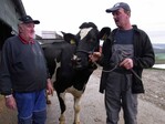 „Wir beobachten unsere Kühe genau und achten darauf, dass wir sie mit sehr hochwertigem Futter füttern“, machen Werner und Holger Bertsch deutlich. Die Holsteinzüchter brechen auf ihrem Pfitzhof seit Jahren sämtliche Rekorde bei der Langlebigkeit ihrer Kühe.