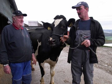 �Wir beobachten unsere K�he genau und achten darauf, dass wir sie mit sehr hochwertigem Futter f�ttern�, machen Werner und Holger Bertsch deutlich. Die Holsteinz�chter brechen auf ihrem Pfitzhof seit Jahren s�mtliche Rekorde bei der Langlebigkeit ihrer K�he.