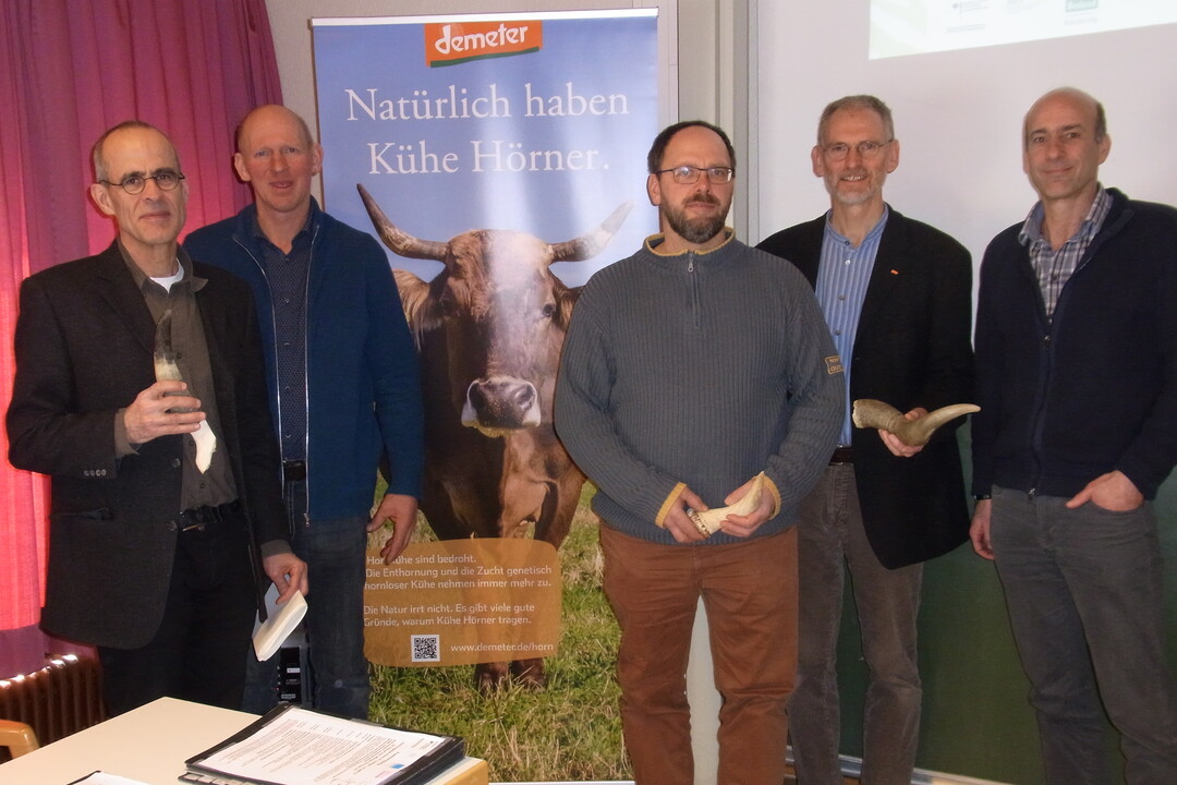 Bildunterschrift: Horntragende K�he erfordern ein ausgefeiltes Management und ben�tigen mehr Platz, um sich in ihrer Rangordnung artgerecht verhalten zu k�nnen � so die Erkenntnis der Referenten auf der Praktikertagung in Aulendorf (v.l.n.r.): HansJosef Kremer, Demeter-Beratung, Johann Ellenrieder, Bioland-Landwirt, Peter Bloching, Bioland-Landwirt, Ulrich M�ck, Demeter-Beratung und Uwe Eilers, Stallbauexperte am LAZBW in Aulendorf.    