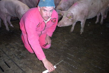 Hermann F�rber, Ferkelerzeuger in B�hmenkirch