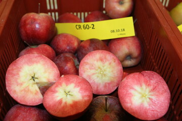 Nicht nur die Apfelschale, auch das Fruchtfleisch kann zum Marketinginstrument f�r den Apfelverkauf werden. 