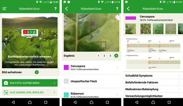 Mit der neuen R�benblatt-App k�nnen Blattkrankheiten einfach und schnell bestimmt werden.