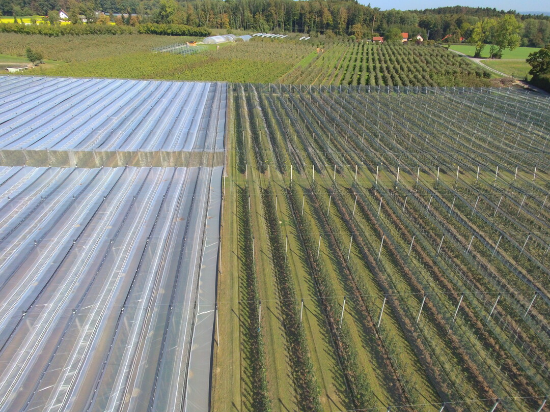 Modellanlage am Kompetenzzentrum Obstbau Bodensee (KOB) zur Pr�fung, inwiefern durch eine gesch�tzte Produktion mit Folien�berdachung und seitlichem Insektenschutznetz Pflanzenschutzma�nahmen im Apfelanbau reduziert werden k�nnen.