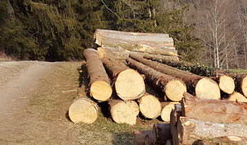 Das Rundholz-Preisniveau ab Juli für Frisch- und Käferholz ist derzeit (27.6.) noch nicht klar absehbar, wird aber aller Voraussicht nach im Vergleich zum aktuellen Niveau nochmals ein bisschen nachgeben. Es zeichnet sich ab, dass die Vereinbarungen für Rundholz-Preise ab Juli kurzfristig und auf Tagespreisniveau getroffen werden müssen.