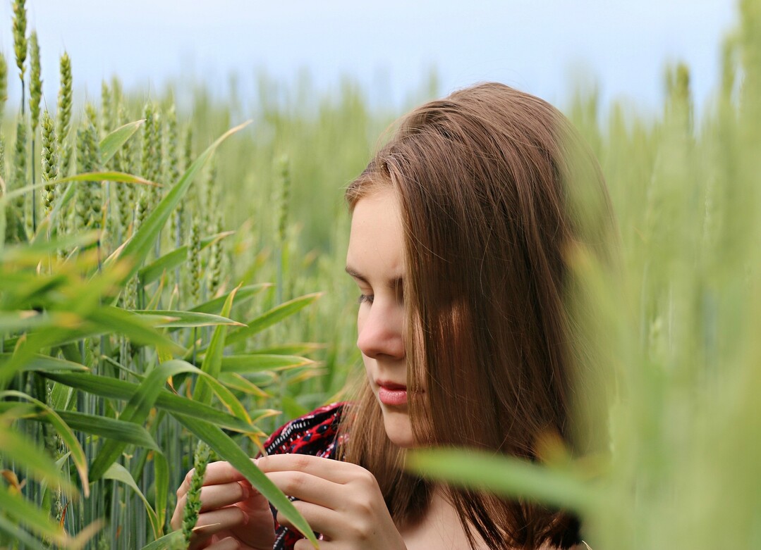Eine genaue Analyse des Bestandes ist wichtig