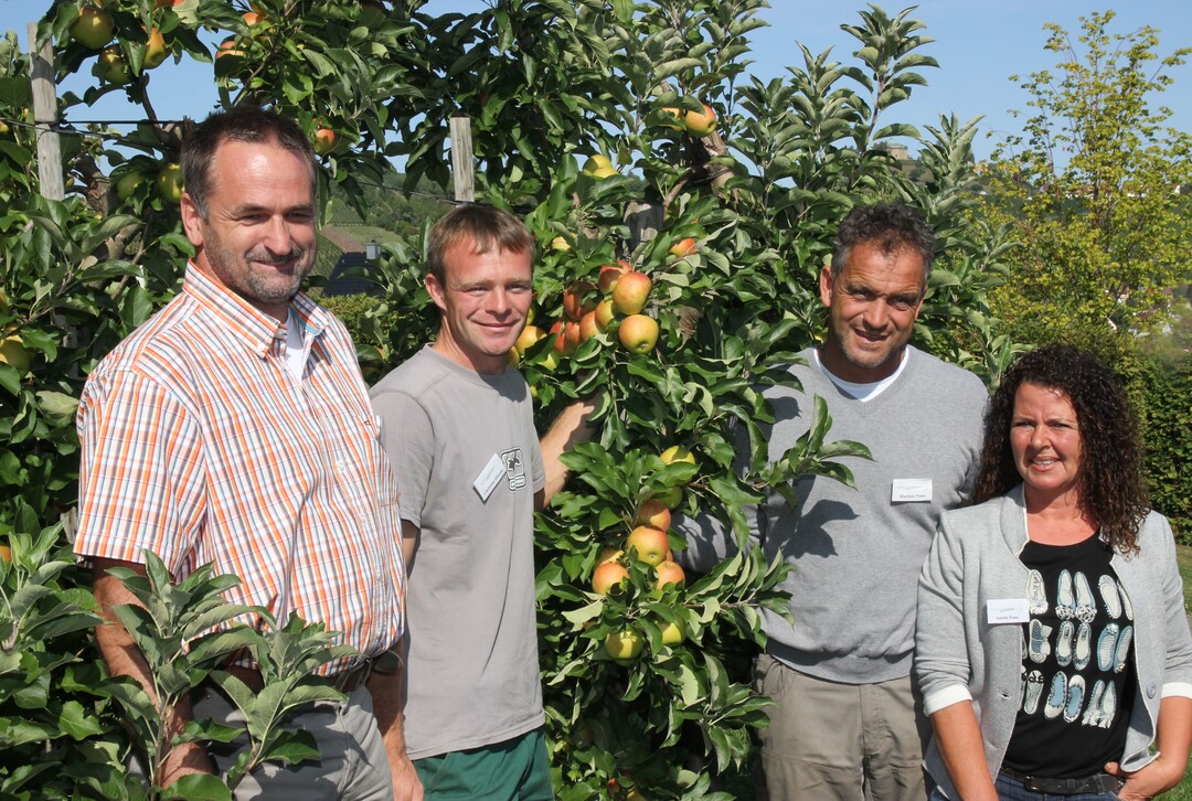 Fachleute für Obstbau und Obstmarkt in Stuttgart-Uhlbach, von rechts: Anette Nanz, Markus Nanz, Christian Hörnle und Andreas Siegele.