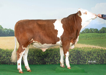 Salzburg l��t als Sunshine-Sohn gute Euter und positive Inhaltsstoffe erwarten.