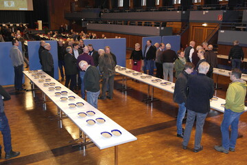 Besichtigung der Braugerstenausstellung auf der Landesbraugerstentagung in Herrenberg.