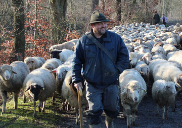 Sch�fereien bieten Lammfleisch, Wurst und K�se von Ziege und Schaf im �Genuss vom Sch�fer�-Shop an.