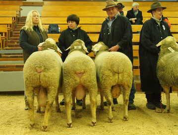 F�r seine ausgeglichene Einzelz�chtersammlung erhielt Dieter Hertler aus Deggingen einen Ib-Preis
