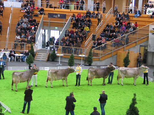 Impressionen aus der Halle