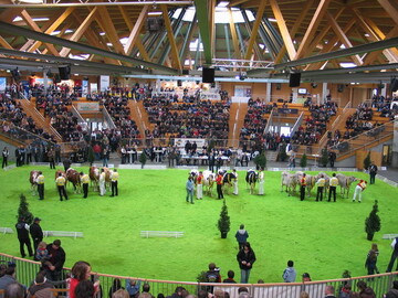 Impressionen aus der Halle