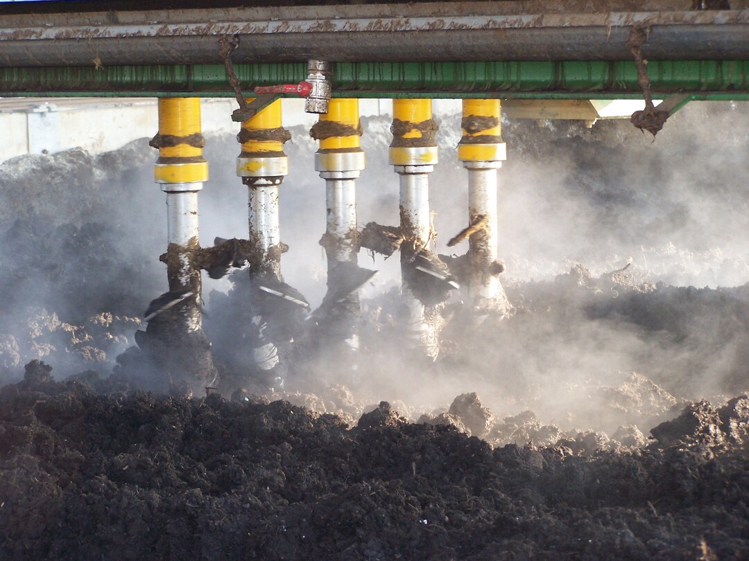 Schnecken sorgen f�r Luftzufuhr in die Humusanlage.