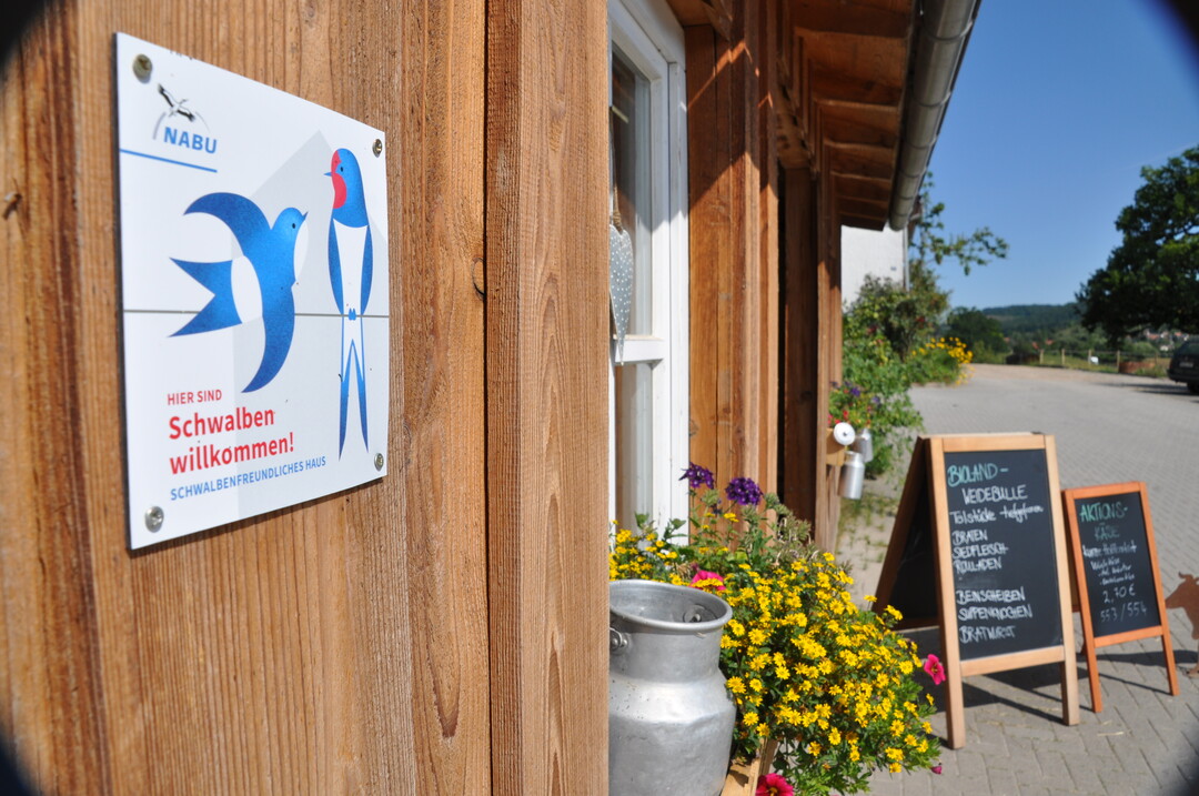 Der NABU zeichnet Gebäude als „Schwalbenfreundliches Haus“ aus, wenn unter ihren Dächern Schwalben brüten dürfen. Jede dritte Plakette in Baden-Württemberg geht bereits an einen landwirtschaftlichen Betrieb.