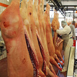 Die Stimmungslage am Schlachtschweinemarkt stabilisiert und festigt sich weiter.