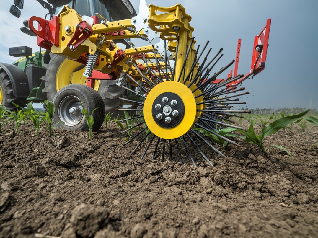 Der Rollstriegel von APV im Einsatz bei Mais.