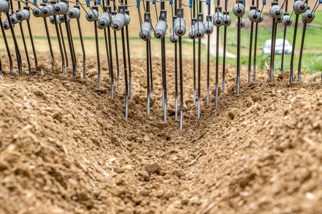 Besonders bei Dammkulturen sind einzeln gefederte Zinken, wie bei Treffler, im Vorteil.