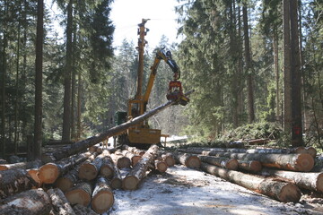 Seilkrananlagen sind in Weichbodengebieten eine sehr bodenschonenden Variante der Holzbringung. Die Aufarbeitung, hier mit einem Gebirgsharvester, kann dann an der Waldstraße erfolgen.