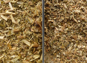 Maissilagen im Vergleich: Links eine Shredlage mit 26 mm H�cksell�nge, rechts eine Maissilage mit 8 mm. 