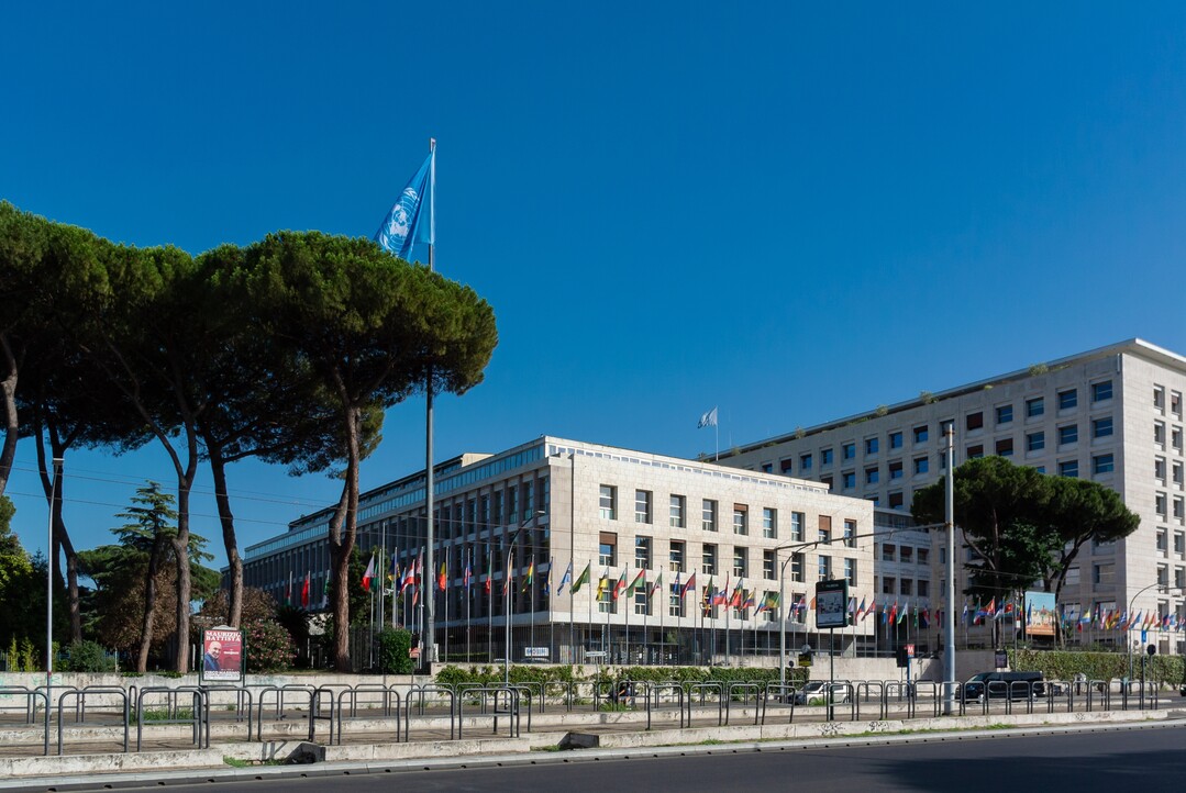 Der Sitz der Ernährungs- und Landwirtschaftsorganisation der Vereinten Nationenin Rom.