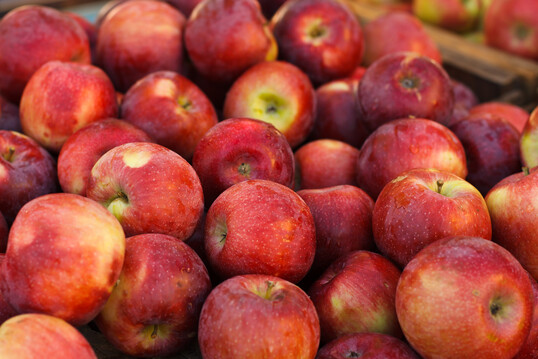 Besonders Empire-�pfel k�nnen die Darmgesundheit bei Masth�hnchen verbessern.