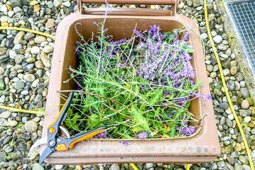 Biotonnenkomposte sind schwierig, weil die Leute alles M�gliche in die Biotonne werfen.