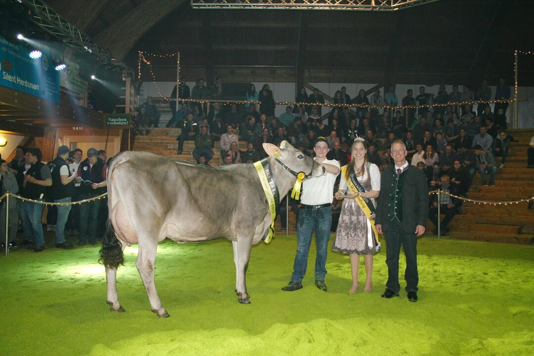 Die Paypoly-Tochter Peasi aus dem Zuchtbetrieb von Arthur Ulrich in Essingen entschied den Wettlauf um das beste Braunvieh-Typtier für sich.