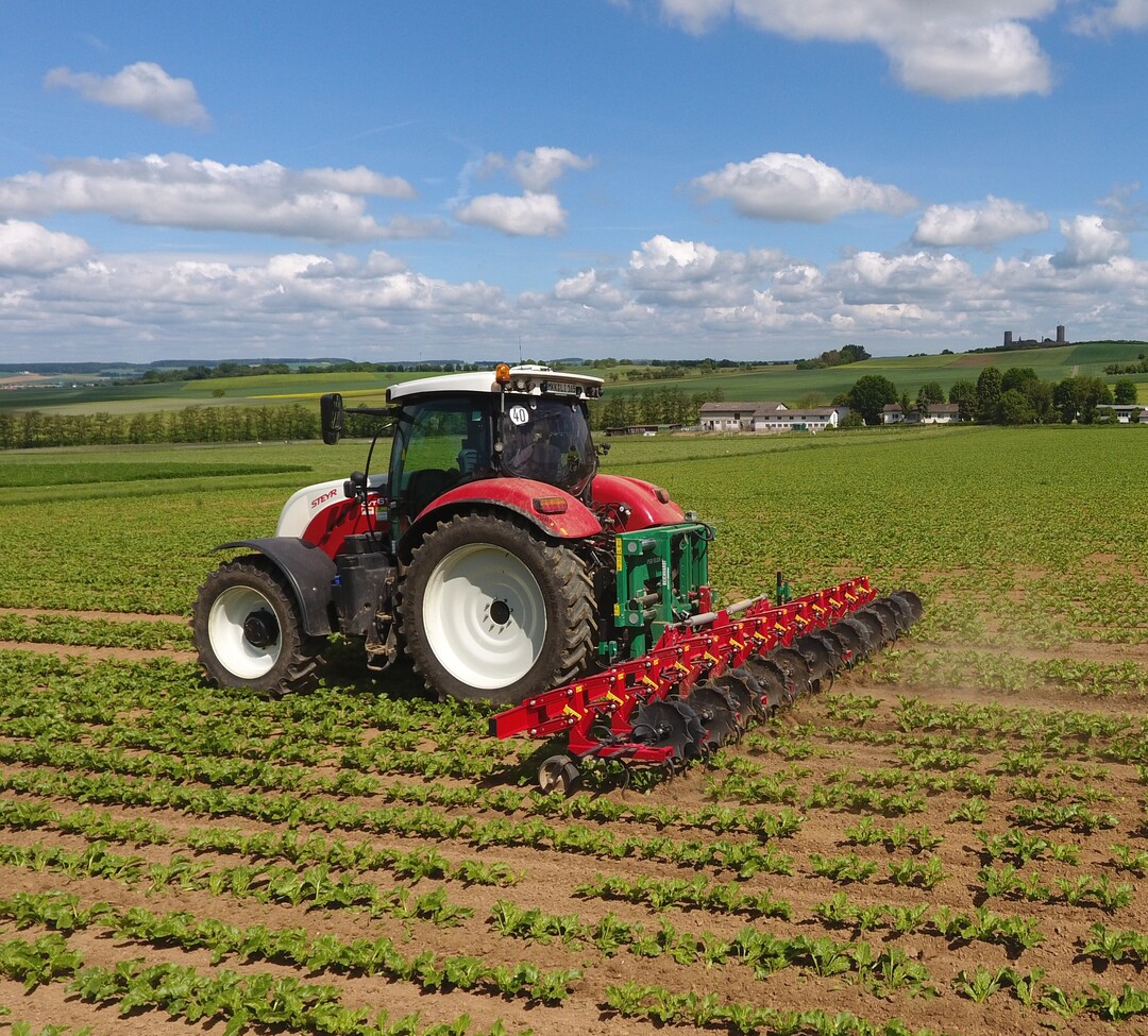 Der Verschieberahmen zwischen Traktor und Hacke sorgt dafür, dass das Gespann sauber in der Reihe bleibt.