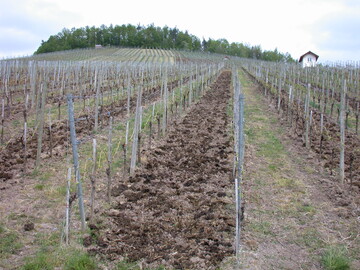 Um Geruchsbel�stigung zu vermeiden, sollten organische D�nger wie Stallmist und Kompost m�glichst bald eingearbeitet werden.