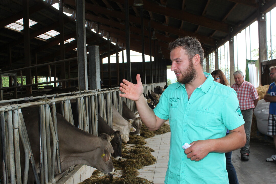 Christoph Stauber erkl�rt die Milchviehhaltung