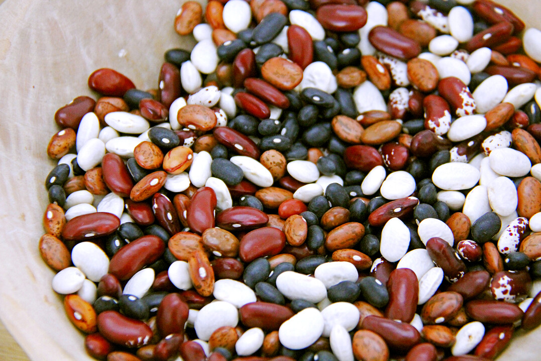 Strassner produziert zum Beispiel Bohnen biovegan.