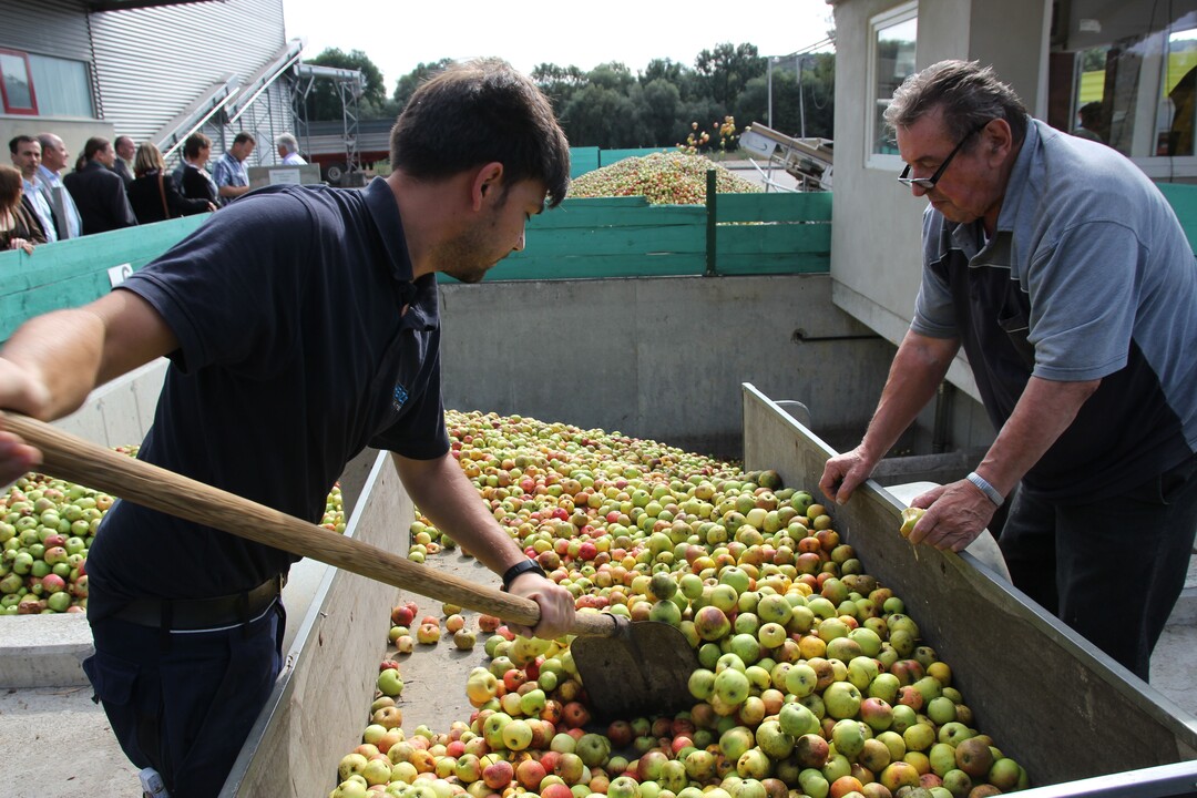 Wer ohne Vertrag Mostobst produziert, hat mit der Abnahme meist keine Probleme, muss aber Tagespreise akzeptieren. Wer Erzeugungsrichtlinien nicht scheut, f�hrt preislich mit einer Streuobstinitiative besser. Aber es bestehen Wartelisten.