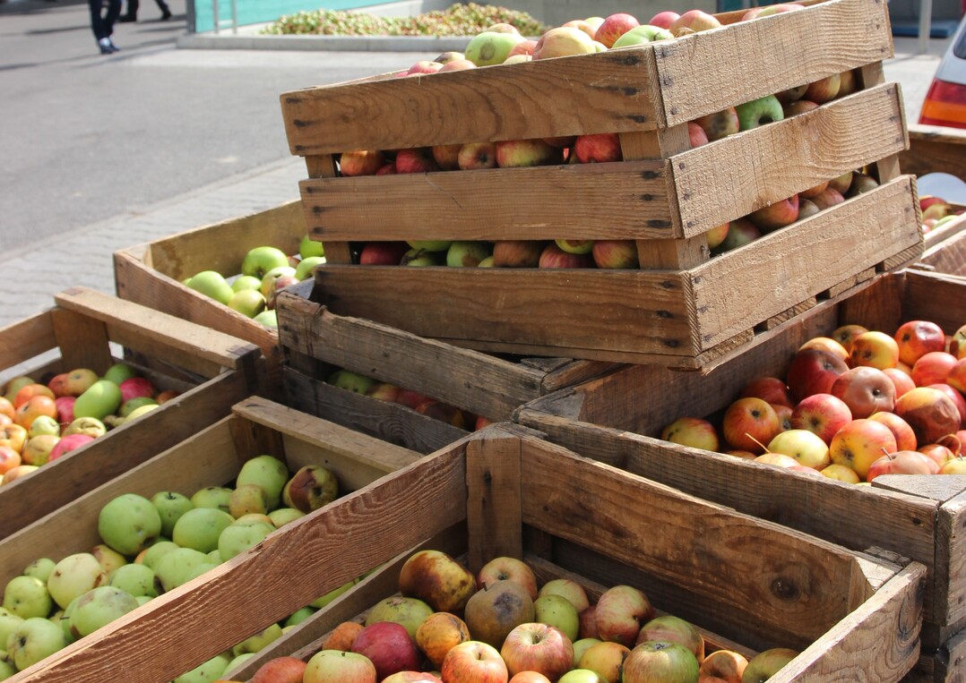Insbesondere in Baden-W�rttemberg werden 2017, wegen der Aprilfr�ste, deutlich weniger �pfel geerntet.