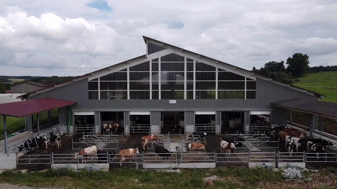 Der Laufhof in diesem EIP-geförderten neugebauten Milchviehstall wurde strukturiert. Die Kühe können dort fressen, liegen und umherlaufen.