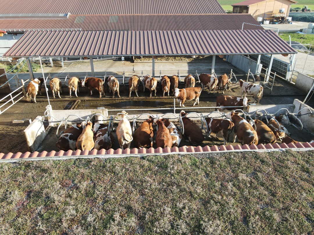 Das Dach über dem strukturierten Laufhof wurde aus Umwelt- und Klimaschutzgründen begrünt.