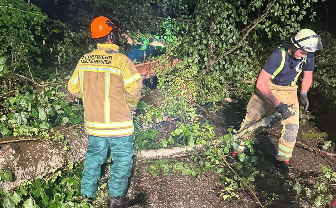 Umgestürzte Bäume und herabfallende Äste haben in der Gewitternacht große Schäden verursacht.