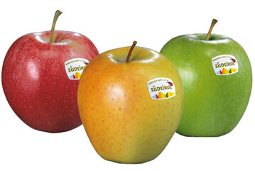 Auf verschiedenen Messen wird für Südtiroler Äpfel geworben.