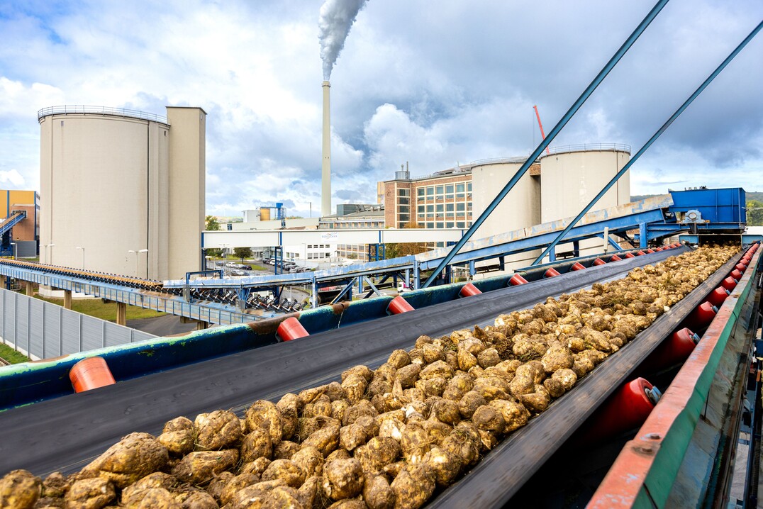 Gewerbekunden bietet S�dzucker einen CO2-reduzierten Zucker an. Der kleinere Fu�abdruck entsteht in der Zuckerfabrik.&nbsp;