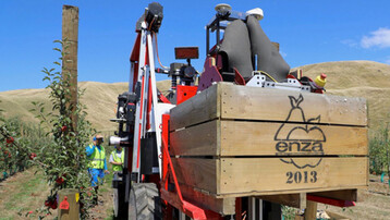 Pfl�ckroboter auf einer neuseel�ndischen Apfelplantage im Einsatz. 