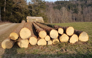 Nutze Holz aus nachhaltiger Forstwirtschaft – für uns und unsere Erde: „Der Internationale Tag des Waldes ist ein guter Anlass, um auf die Bedeutung der Wälder und ihren unschätzbaren Wert für uns alle aufmerksam zu machen“, sagte Forstminister Peter Hauk MdL.