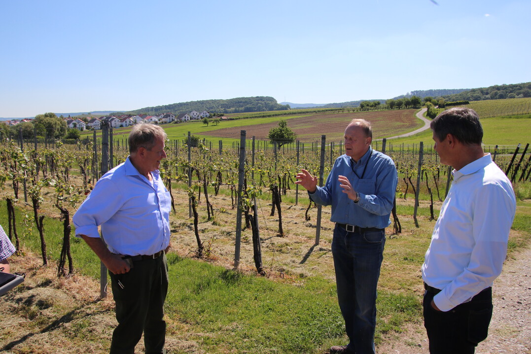 Gemeinschaftstaxe in Löwenstein: Joachim Rukwied (Mitte) im Gespräch mit Dr. Rainer Langner (r.) und Ulrich Eppler.