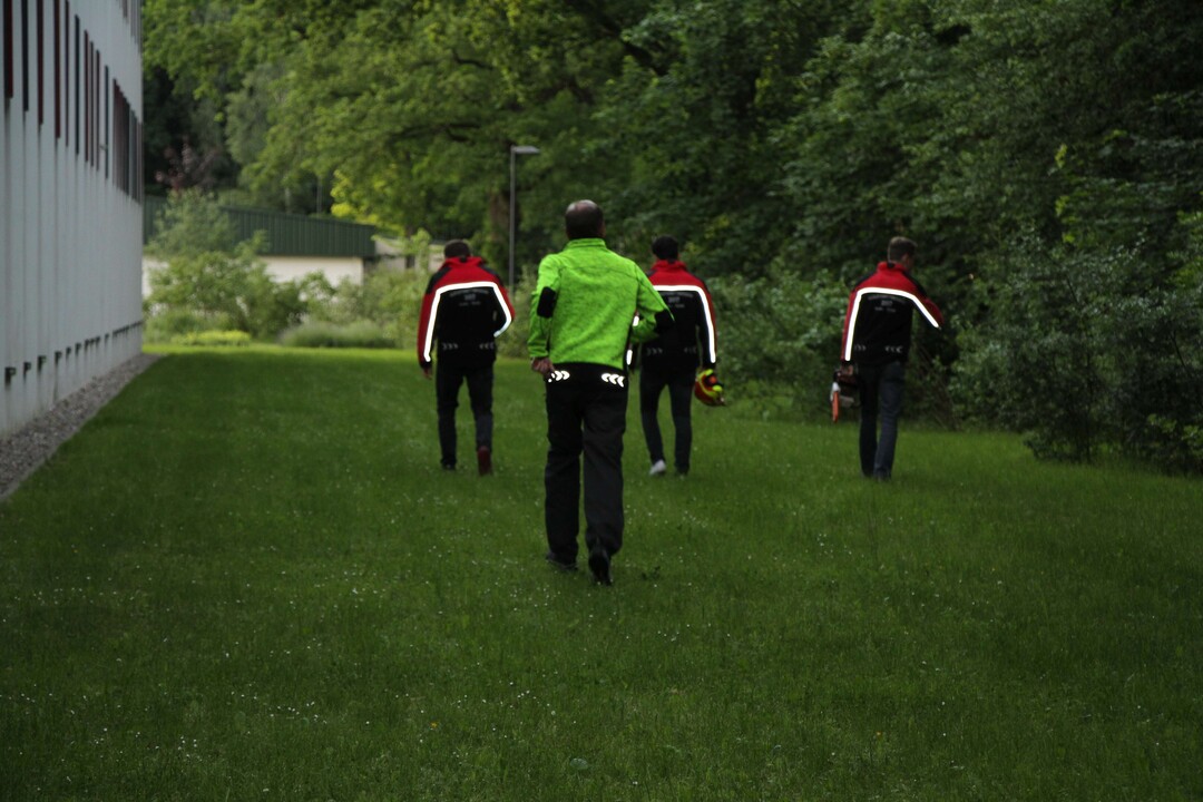 ...auf dem Heimweg nach getaner Arbeit...