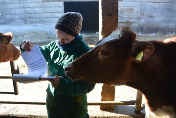 Kontrolle Mit dem Tierwohl-Tool-Milchvieh sollen Landwirte oder Berater wichtige Tierschutzindikatoren direkt in der Herde erfassen können.