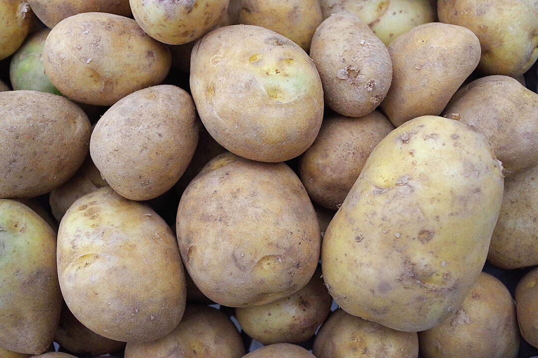 Für die Anwendung mit elektrisch betriebenen Heißvernebelungsgerätenist das Pflanzenschutzmittel 1,4Sight wieder erlaubt.