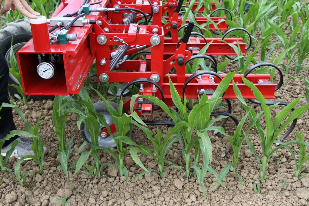 Die Klemmprofile f�r die Werkzeuge sind innenliegend. Daraus resultiert eine maximale Variabilit�t bei der Anordnung der Werkzeuge am Rahmen.