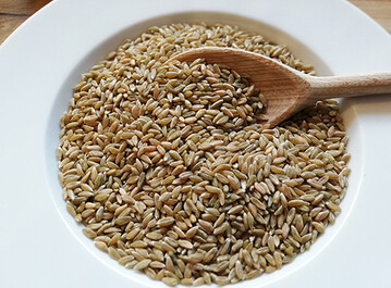 Gr�nkern war schon bei den Kelten beliebt.