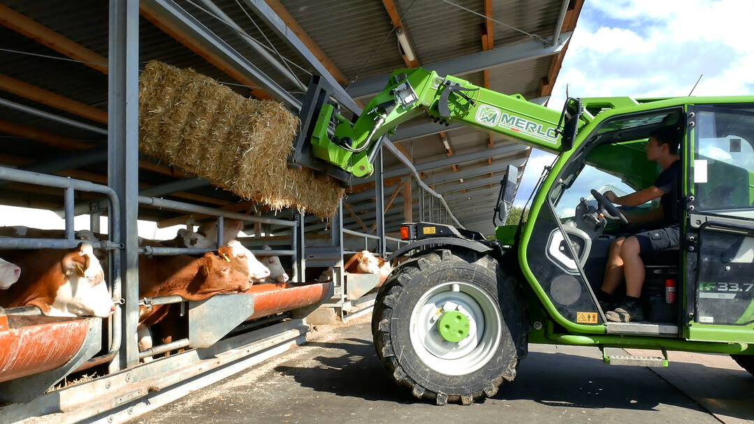 Gefragt ist die Maschine überall dort, wo es etwas zum Füttern und Ausmisten gibt wie bei Milchviehbetrieben. In Reitanlagen bergen sie Stroh- und Heuballen. Bei Hähnchen- und Putenmästern passen sie gut in die niedrigen Stallanlagen. Kommunen setzen wegen ihrer kompakten Abmessungen, der hohen Leistungswerte und den vielen Einsatzmöglichkeiten zunehmend auf die kleine Merlo Baureihe.